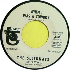 SLLEDNATS (Standells) Don't Tell Me What To Do / When I Was A Cowboy (Tower ‎– 312) USA 1967 white label PROMO 45